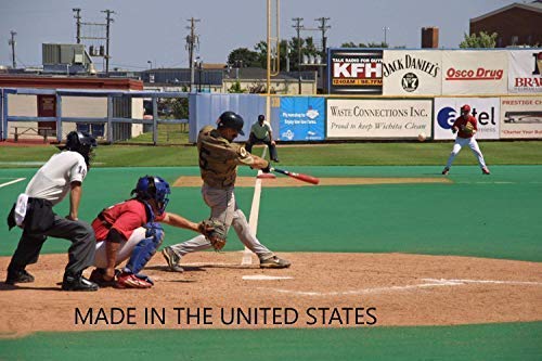 X Bats Pro Model Wood Baseball Bats (Pro Model 73 | Power and Gap Hitters, 33 Inch)
